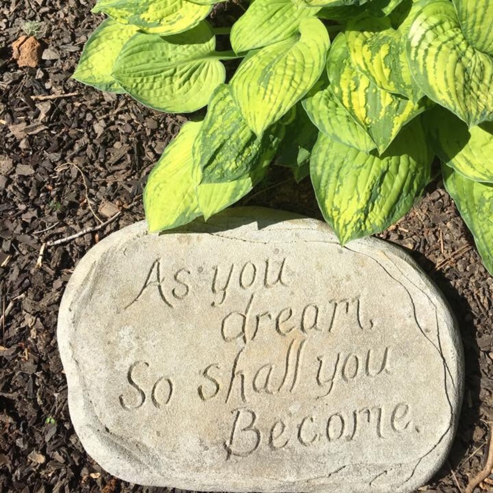 Hello Everyone🙋🏼‍♀️ - Picture 4 of 7